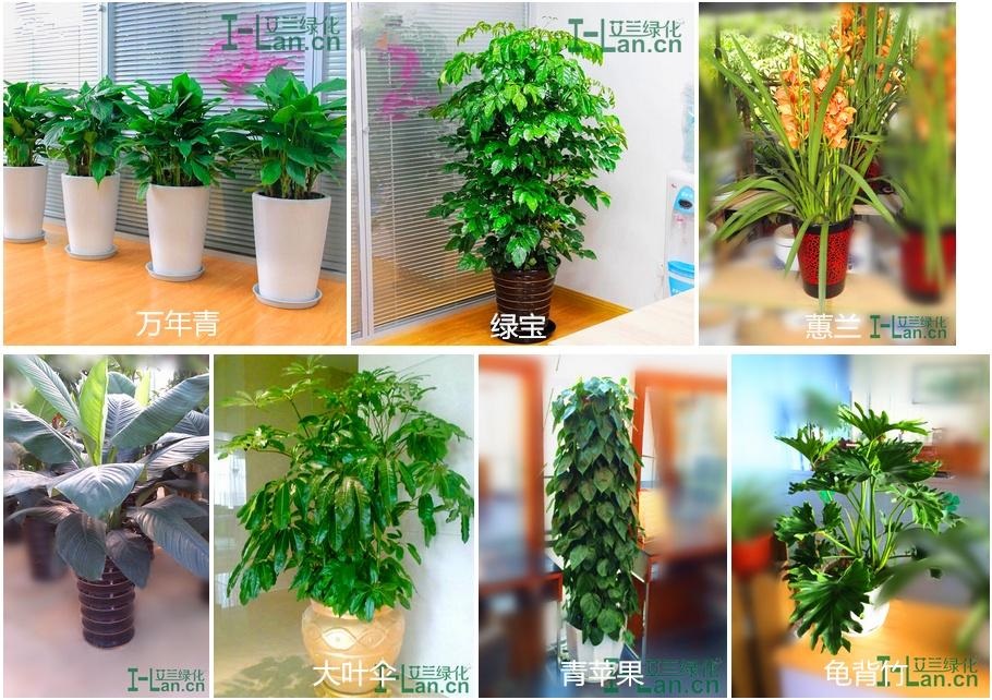 asiagame(中国集团)aisagaming