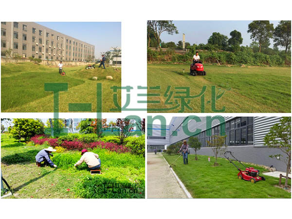 都会园林绿化的要点有哪些？？